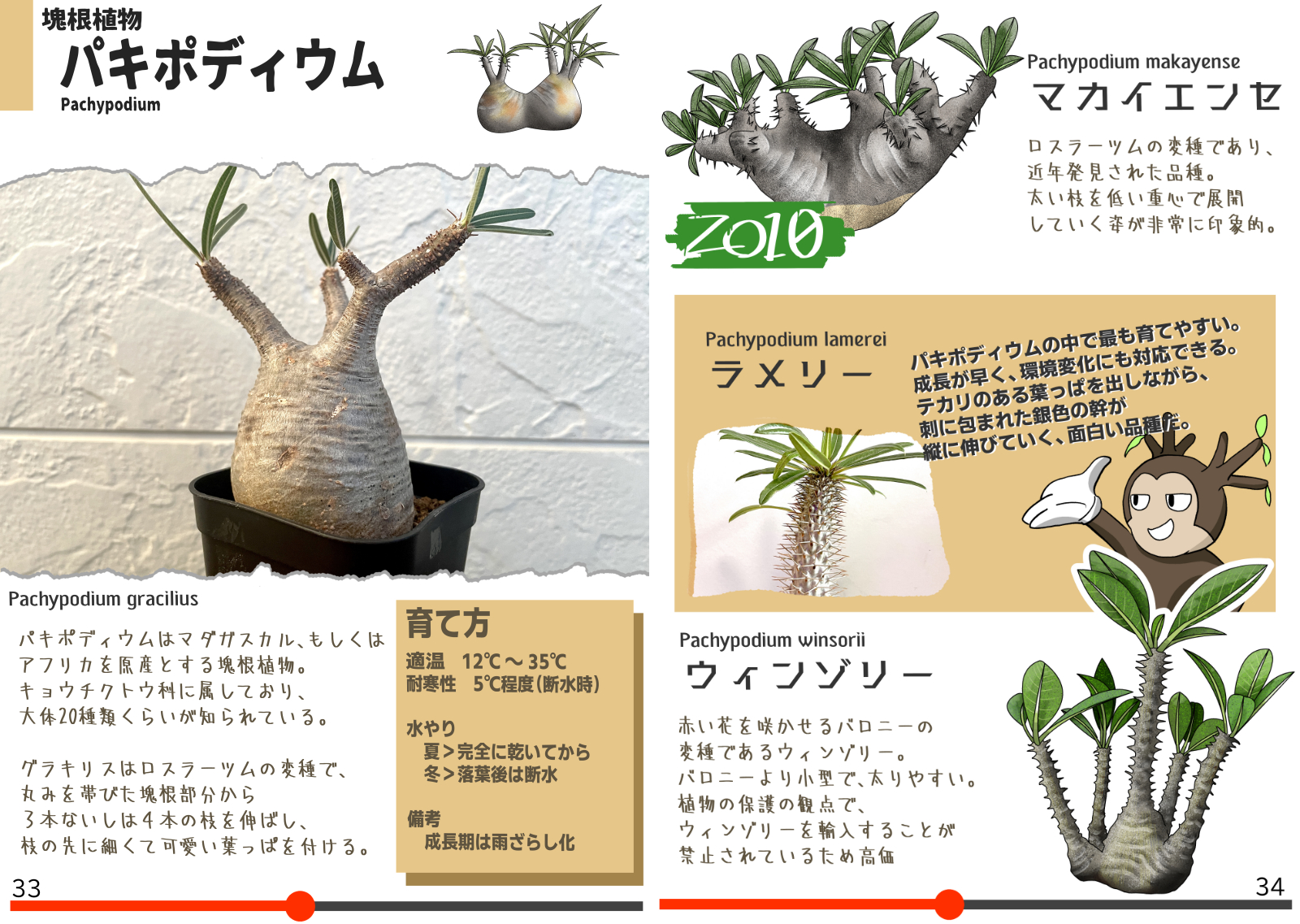 ビザプラ植物園の同人誌