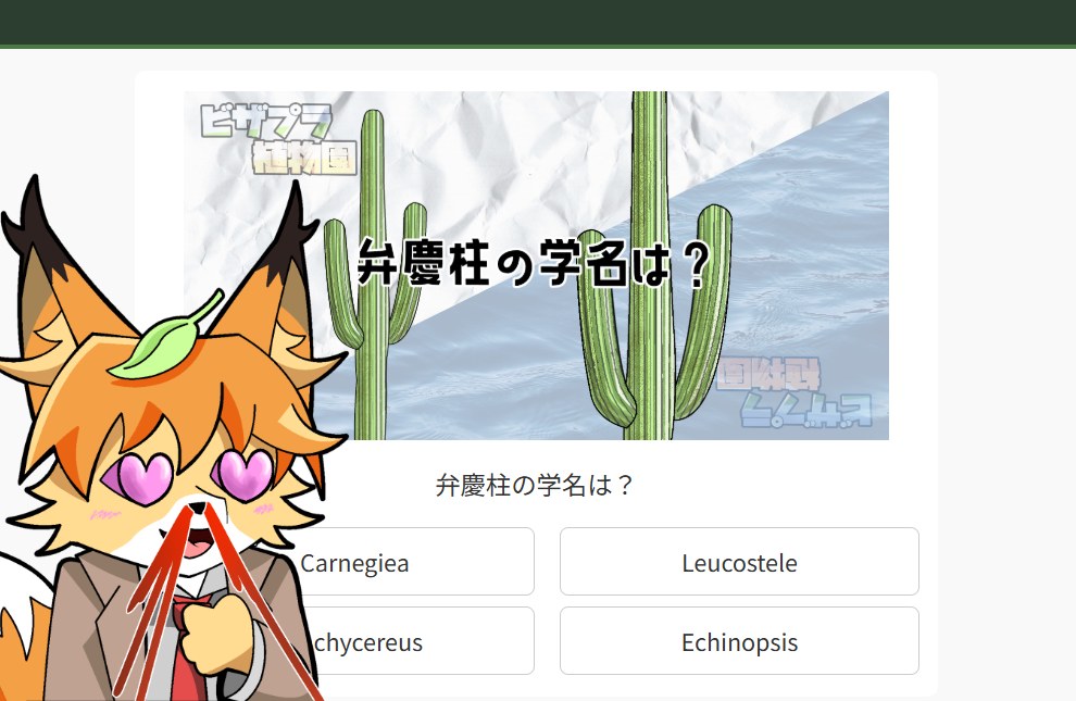 ビザプラ検定が出来ました