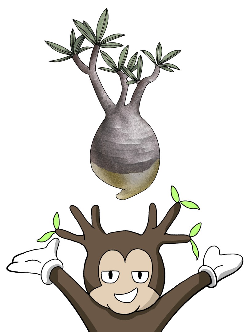 グラキ―マウスの画像