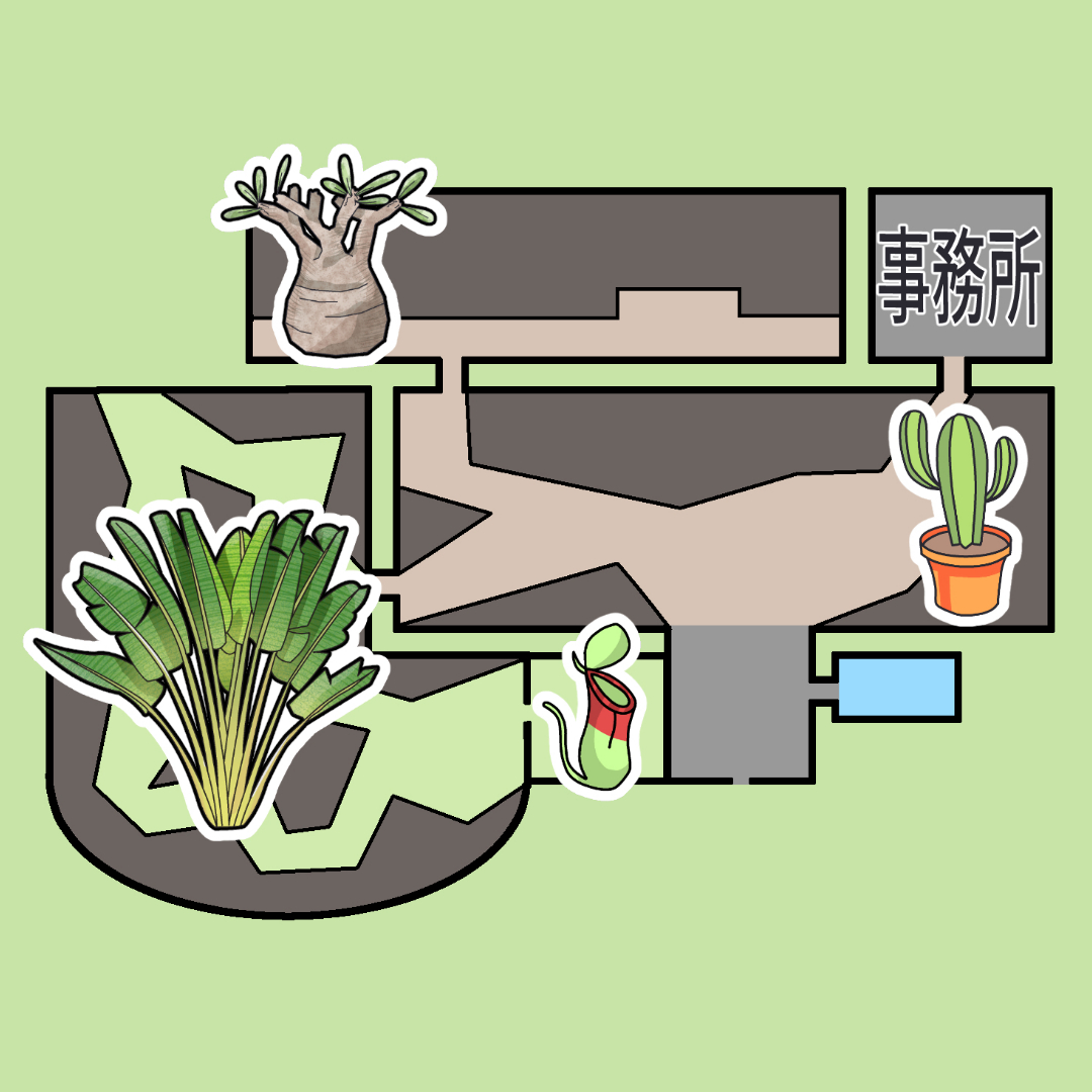 ビザプラ植物園背景ビジュアル