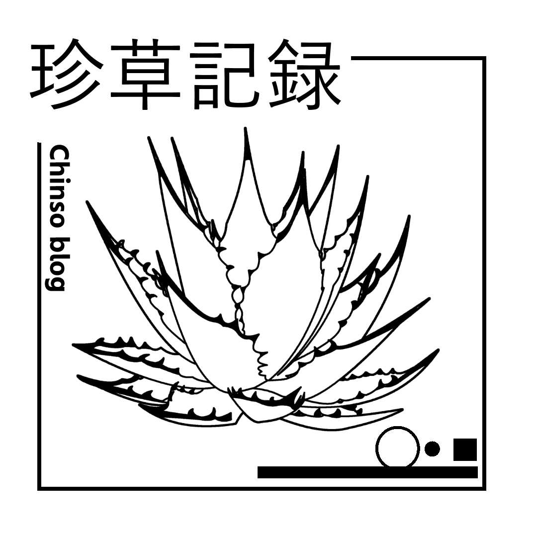 ブログ