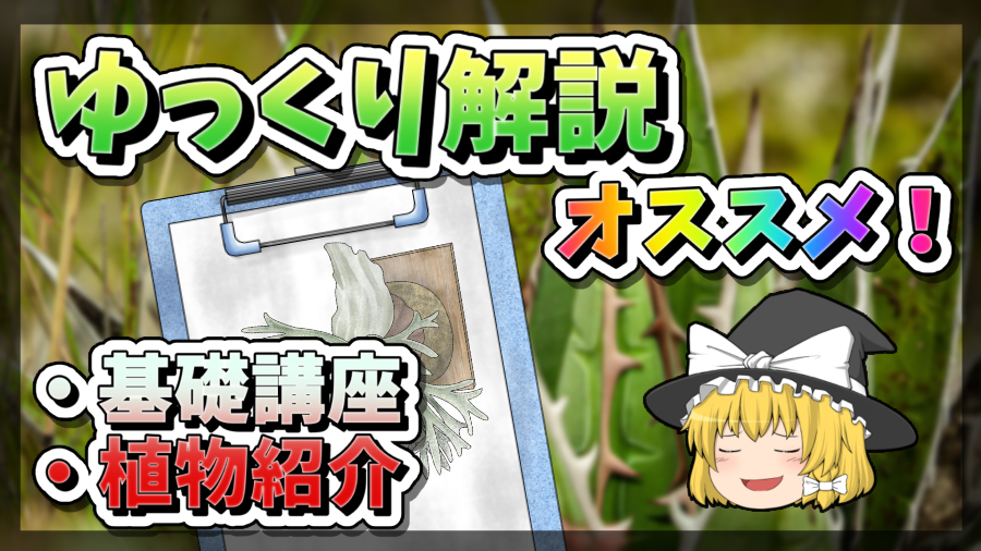 ゆっくり解説イメージビジュアル