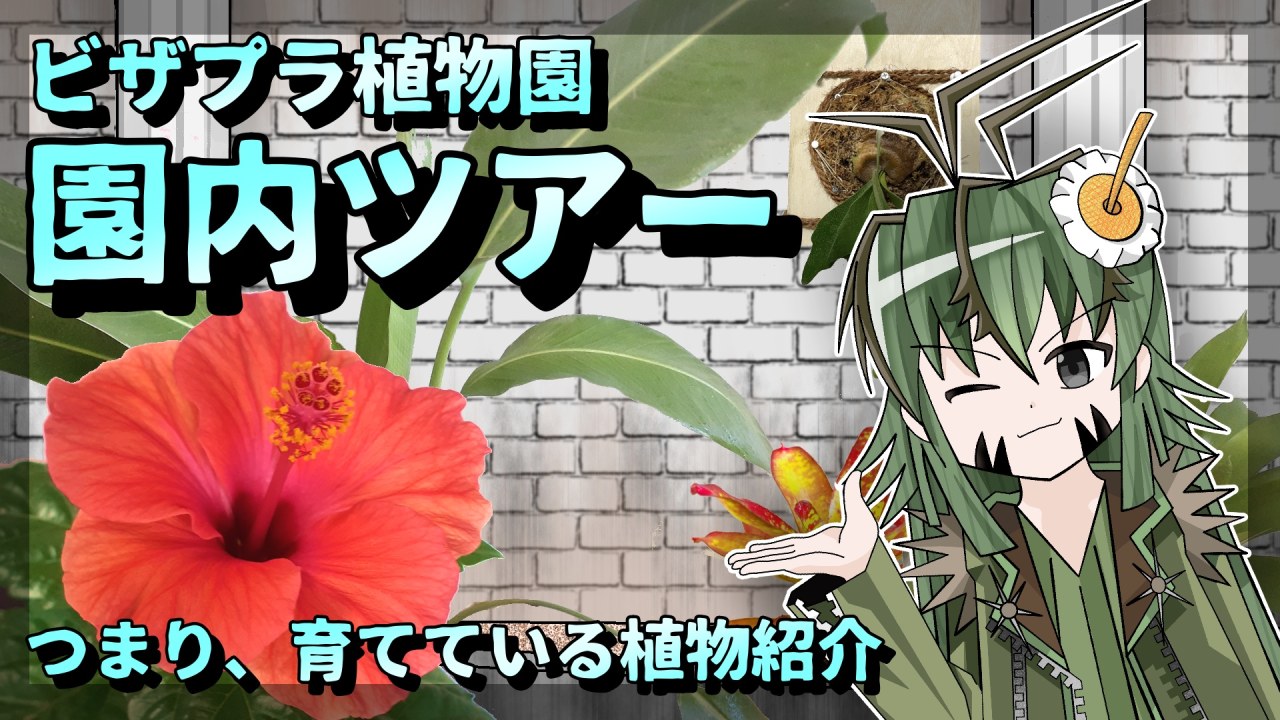 【アニメ茶番】ビザプラ植物園の園内ツアー！【育ててる植物紹介】のサムネイル