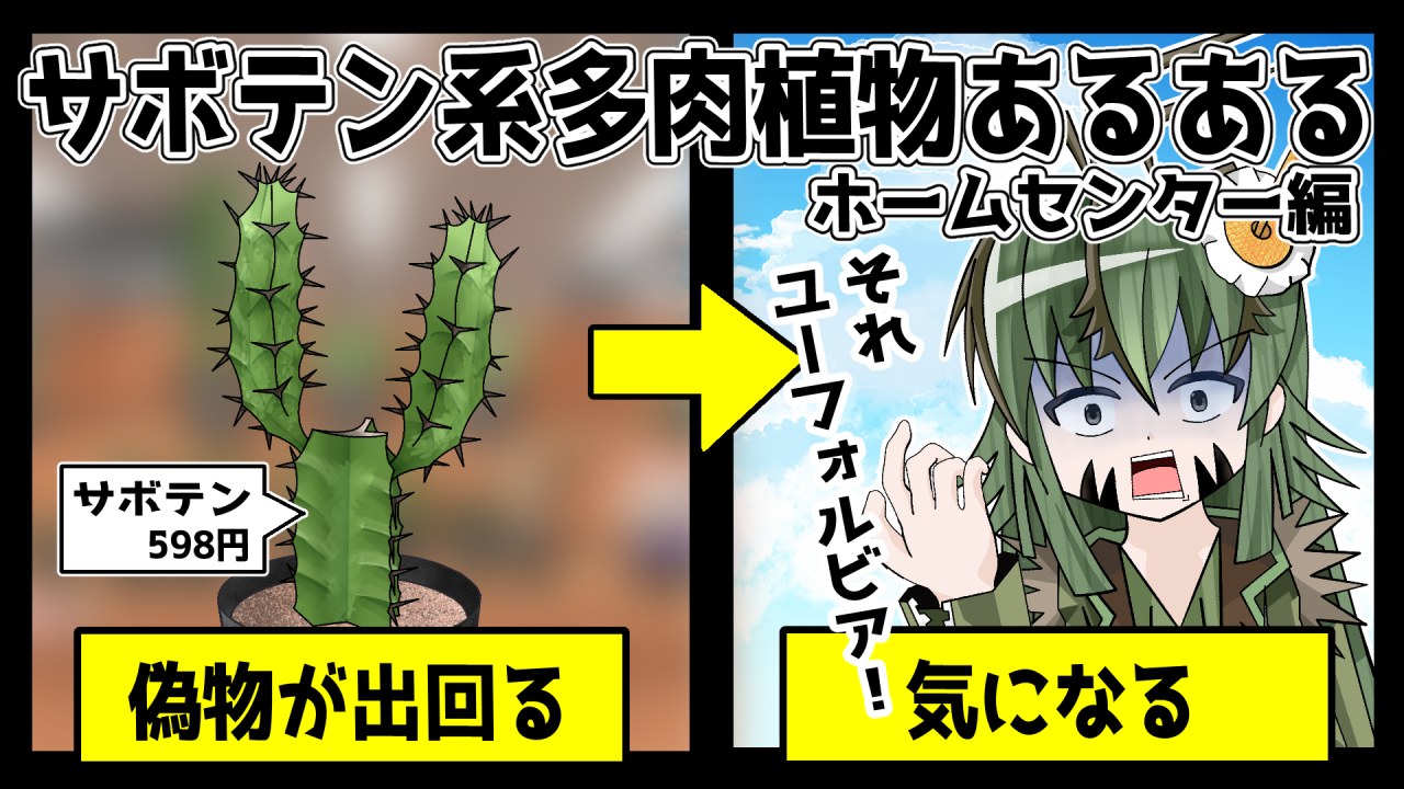 【アニメ】ド偏見！サボテン系多肉植物あるある！ホームセンター編【ビザプラあるある】のサムネイル