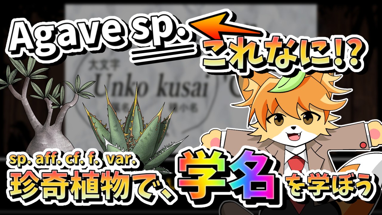 【ゆっくり雑談】珍奇植物で学名の読み方講座！世界一長い学名とは？【ビザールプランツ】のサムネイル