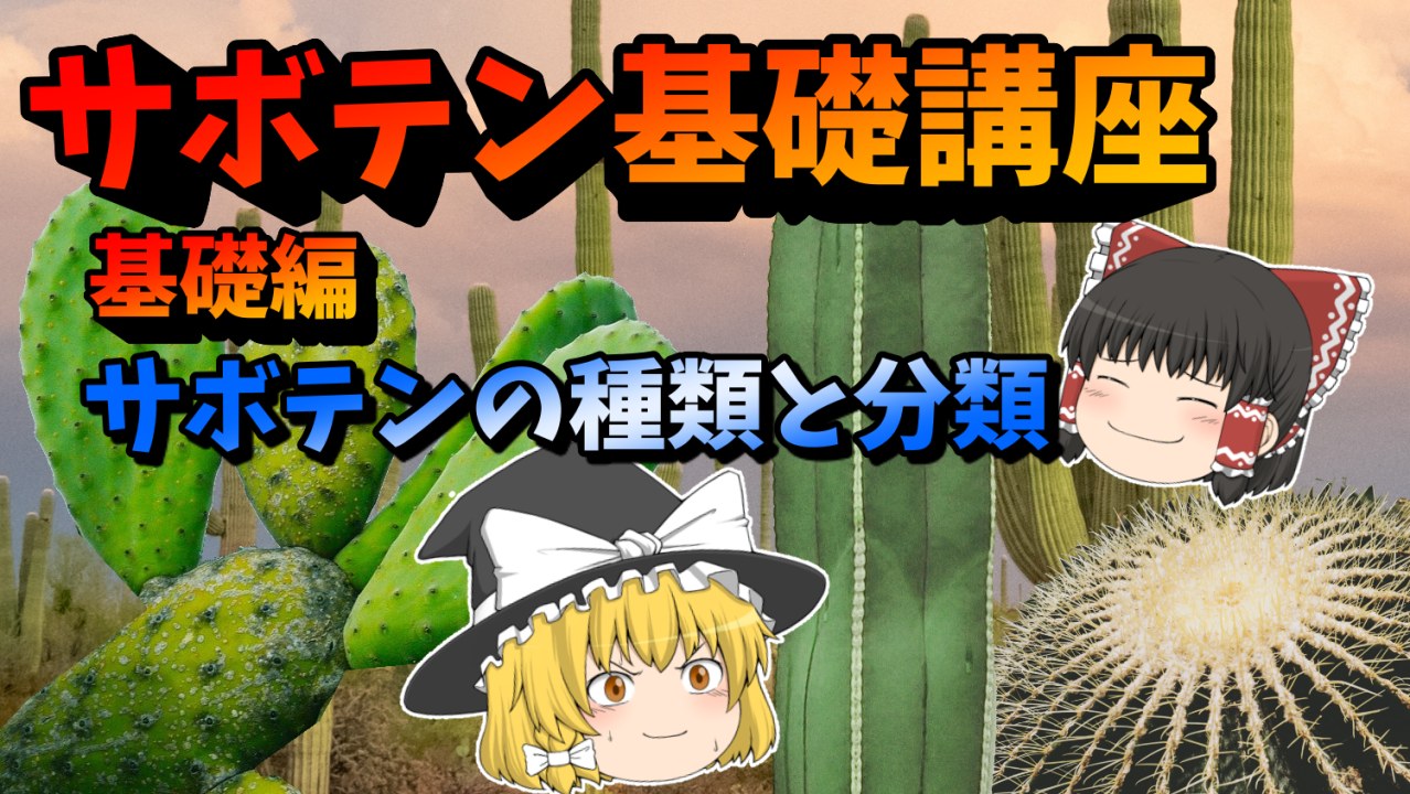 【ゆっくり解説】サボテン基礎講座　基礎編「サボテンの種類と分類」【サボテン講座】のサムネイル