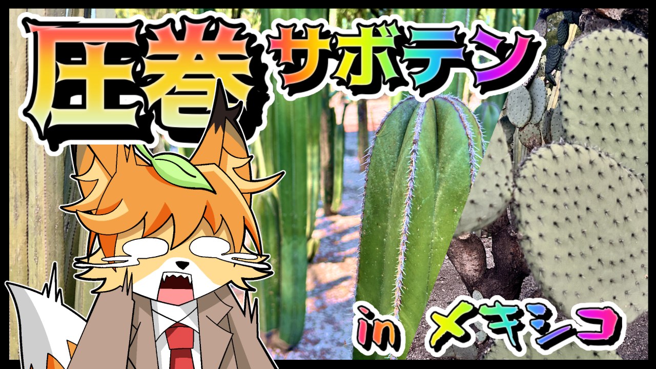 【ビザティー回】メキシコに行った話のサムネイル