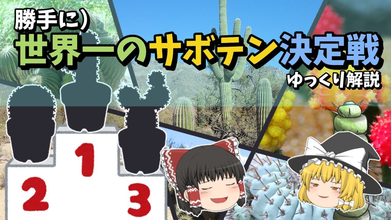 【ゆっくり解説】世界一のサボテンを勝手に決めよう！【サボテン解説】【ビザールプランツ】.のサムネイル