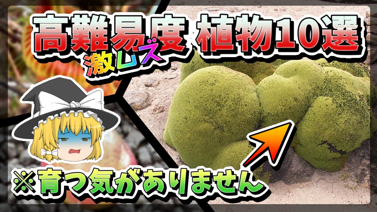 【ゆっくり解説】君は攻略できるか？ガチで栽培不可能な植物10選【狂気の育て方解説】のサムネイル